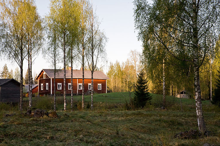 Kovero
Keywords: Seitsemisen Kansallispuisto Kovero kevät aamu koivikko