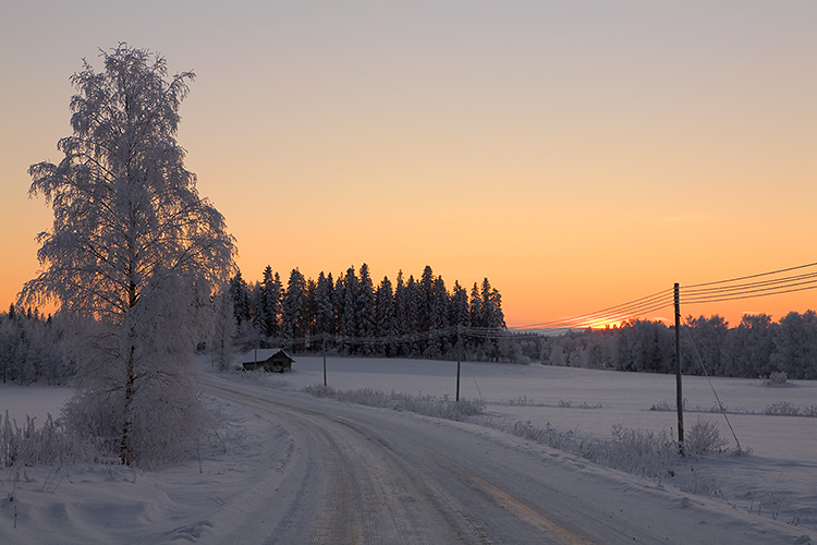 Sonkajärvi
Avainsanat: Sonkajärvi lato tie iltarusko valo