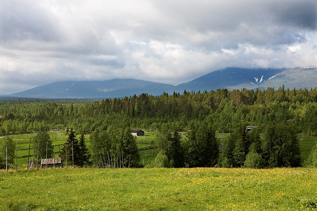 Raattama
Avainsanat: Pallastunturi lato kesäkuu