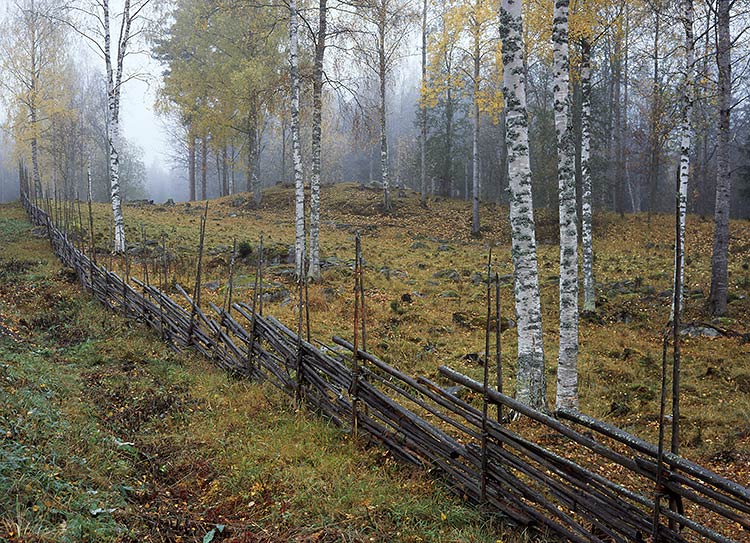 Liesjärven KP
Avainsanat: Liesjärvi kansallis puisto laidun syksy ruska risuaita Kovero
