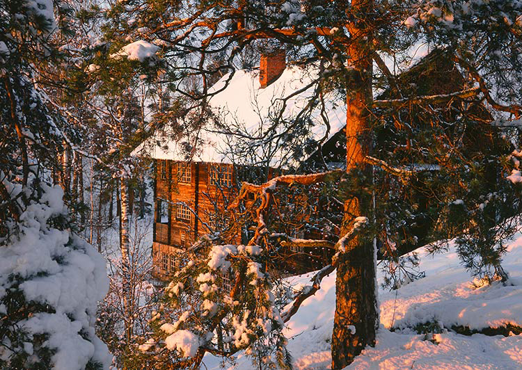 Halosen niemi
Avainsanat: Halosen niemi Tuusula valo talvi