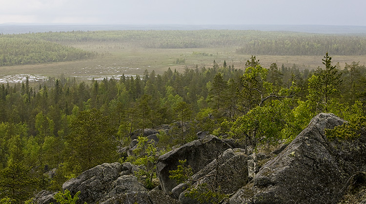 Martimoaapa
Avainsanat: Martimoaapa usva sumu kesä 