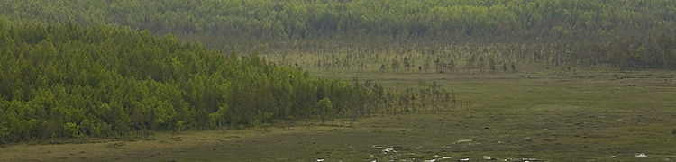 Martimoaapa
Avainsanat: Martimoaapa kesä 