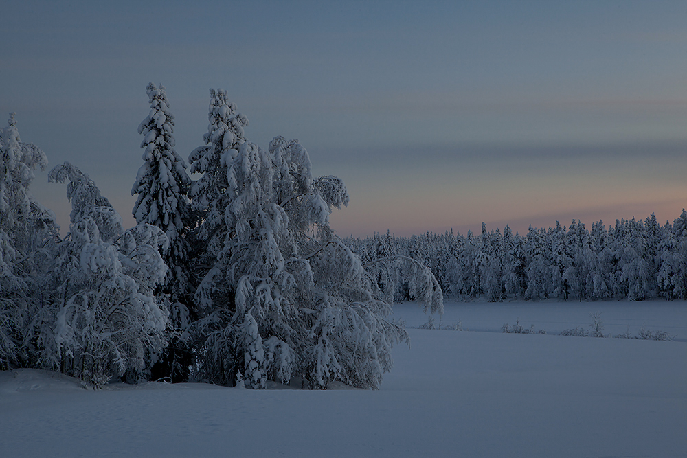 Kuusamo
Avainsanat: Kuusamo sininenhetki talvi ilta pelto iltarusko
