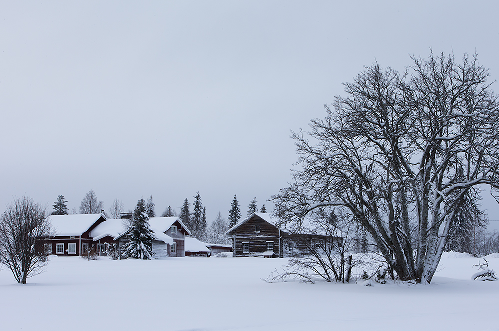 Kajaani
Avainsanat: Kajaani talvi hämärä