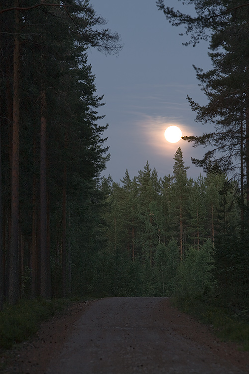 Leivonmäki
Avainsanat: Leivonmäki Kansallispuisto kuu täysikuu tie kesä ilta