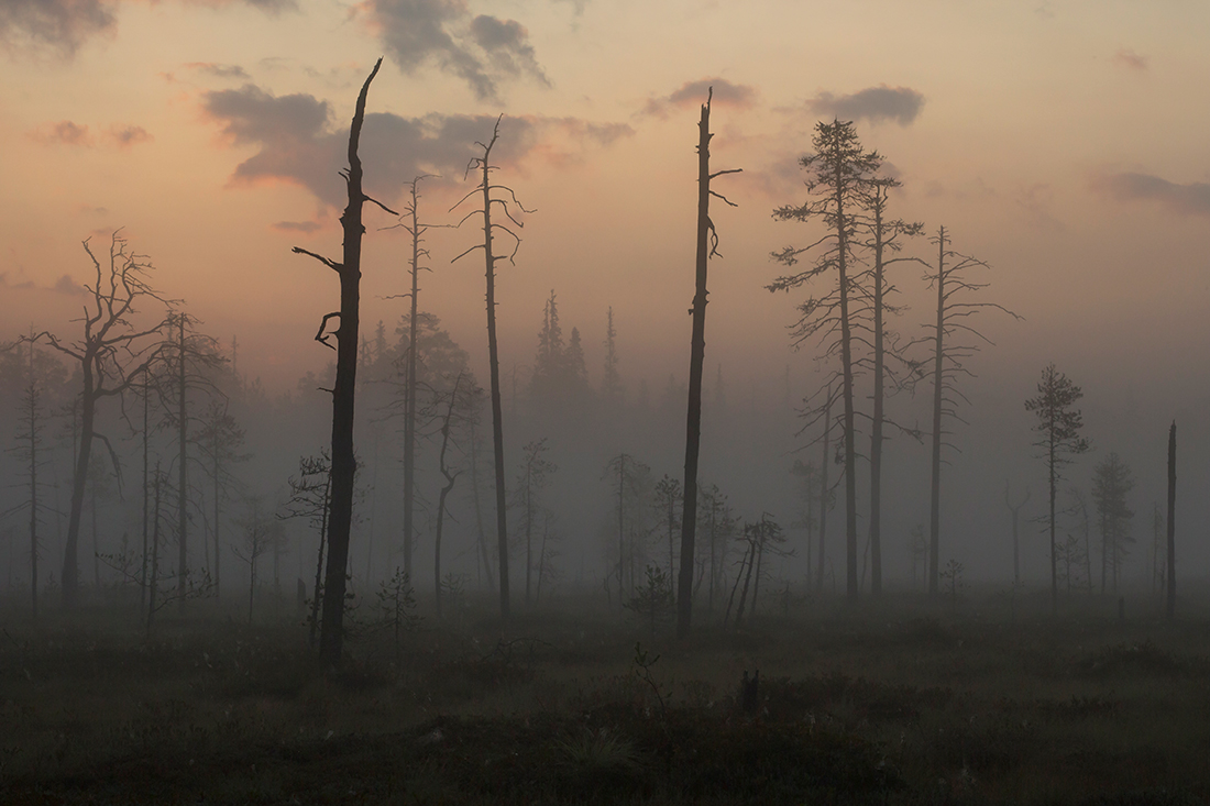 Kuusamo
Avainsanat: Kuusamo usva sumu elokuu kelo