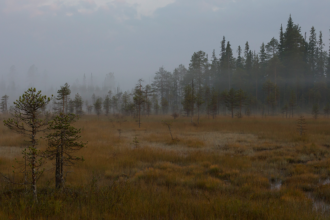Kuusamo
Avainsanat: Kuusamo usva sumu elokuu