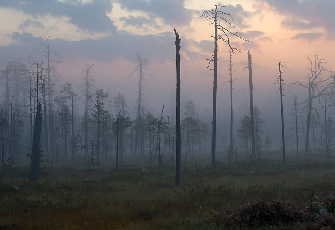 Kuusamo
Avainsanat: Kuusamo usva sumu elokuu kelo