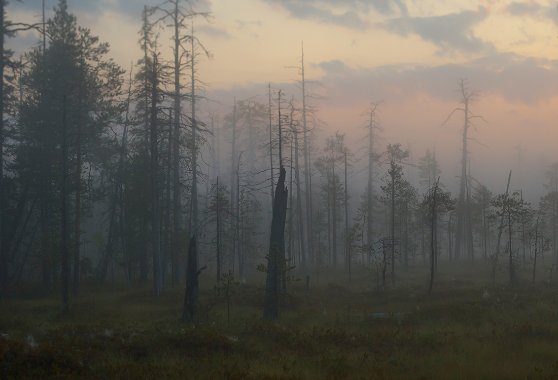 Kuusamo
Avainsanat: Kuusamo usva sumu elokuu kelo