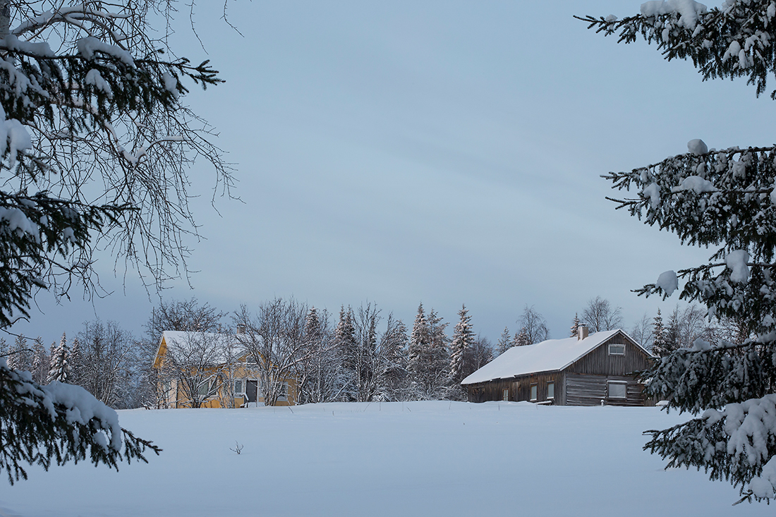 Kuusamo
Avainsanat: Kuusamo talvi ilta lumi asumus
