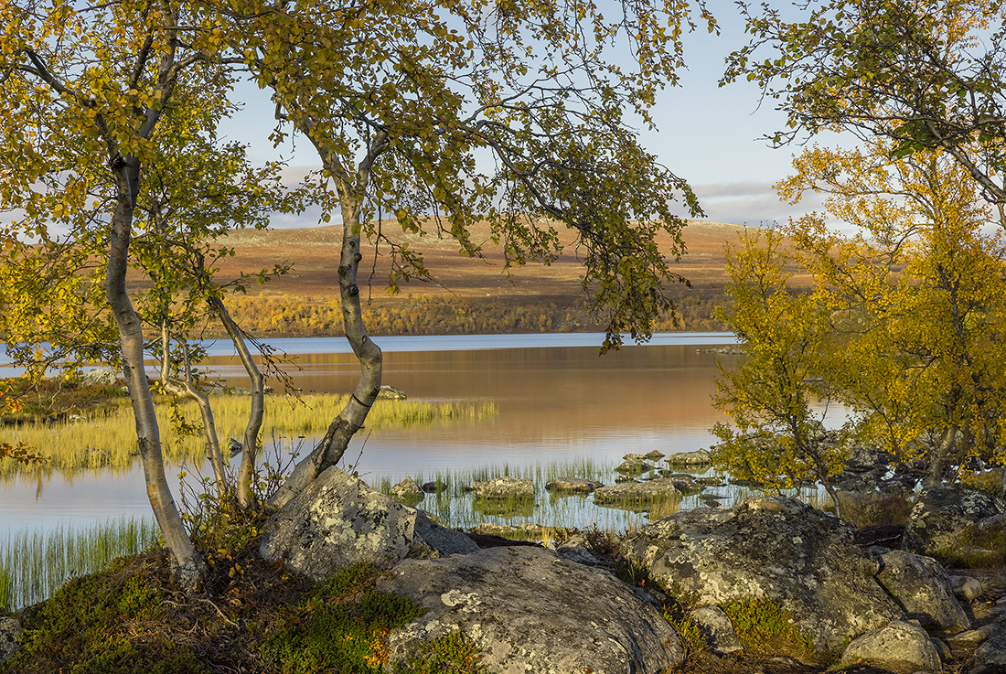 Kilpisjärvi
Avainsanat: Kilpisjärvi ruska väri syksy