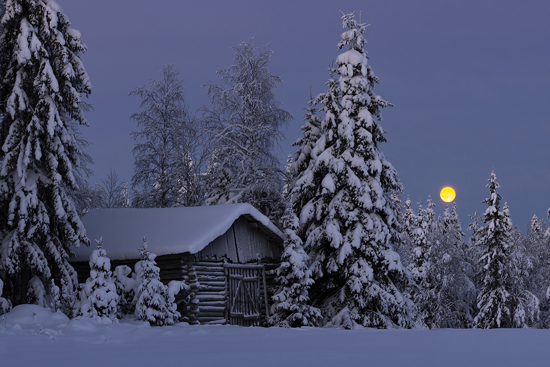 Kuusamo
Avainsanat: Kuu täysikuu lumi talvi lato