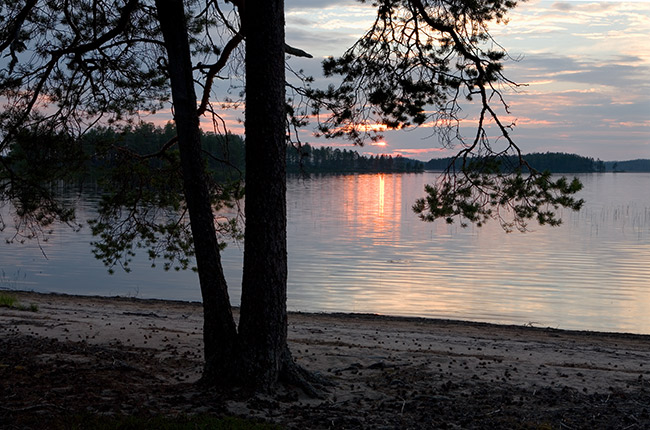 Tiilikkajärvi
Keywords: elokuu ilta auringonlasku kansallispuisto hiekkaranta