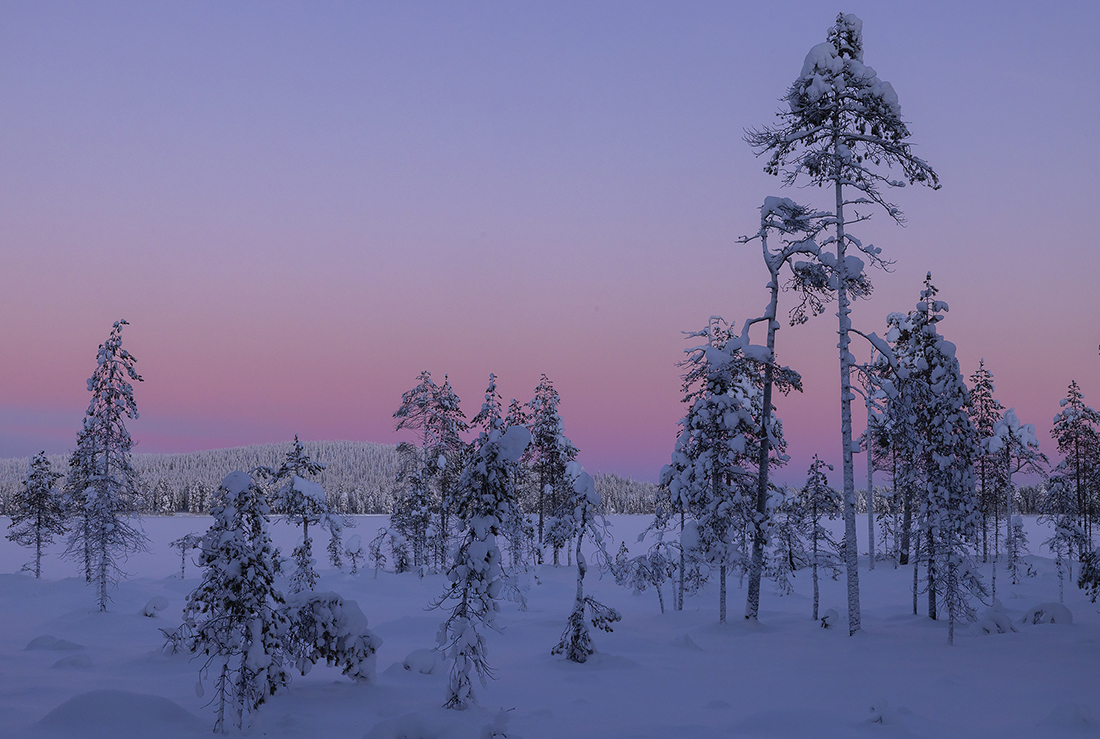 Illan väri
Avainsanat: suo väri ilta talvi Kuusamo