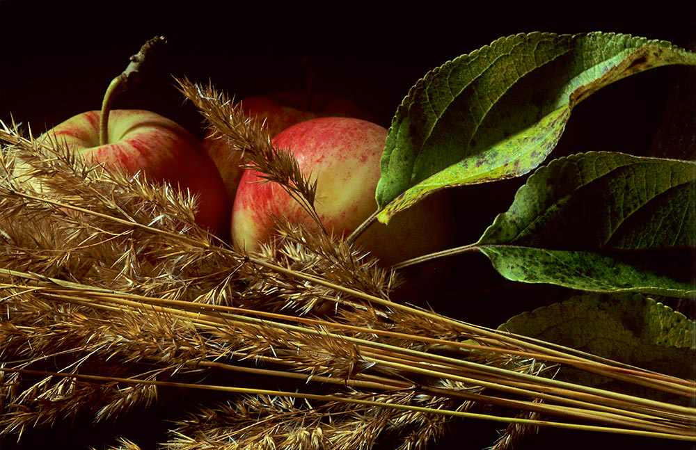 Sommitelma
Avainsanat: Sommitelma omena asetelma lehti