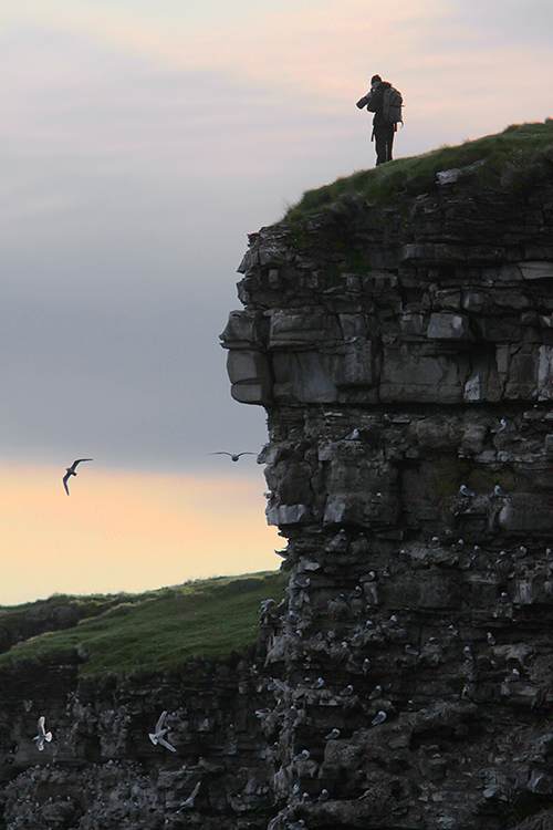 Ekkeroy
Avainsanat: lintuvuori Ekkeroy kuvaaja Pikkukajava Norja