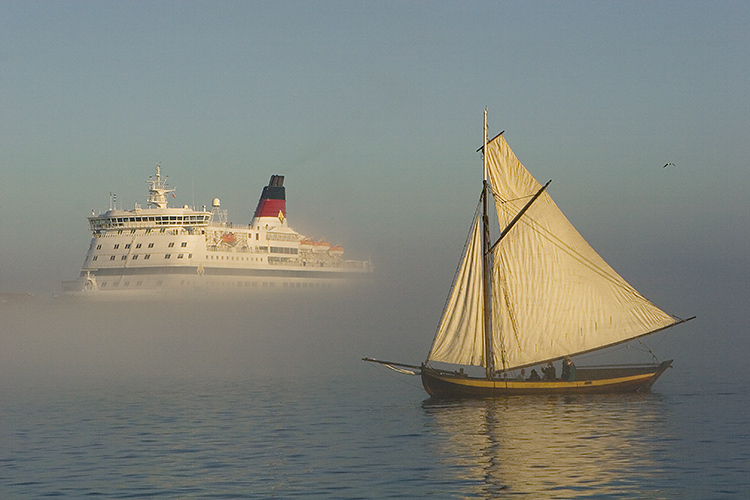 Purjevene
Avainsanat: purjevene Silja Line usva sumu Helsinki kesä