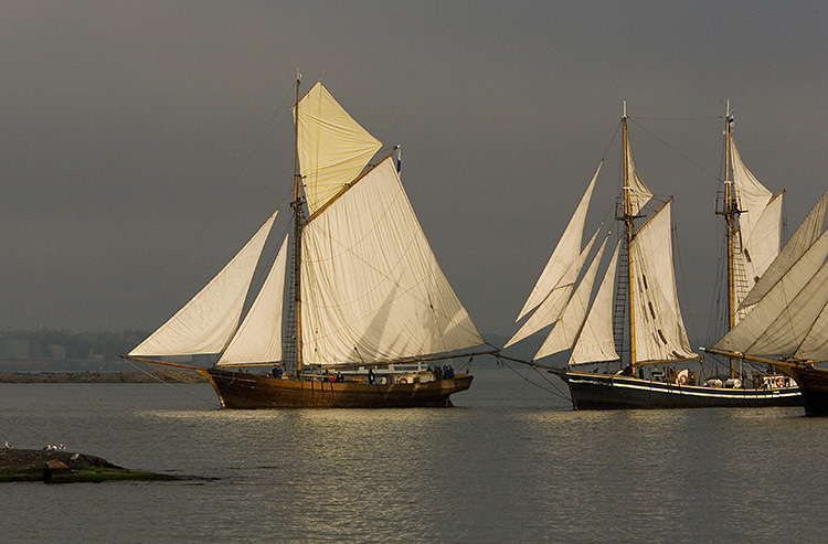 Purjelaivoja
Avainsanat: purjelaiva syksy valo