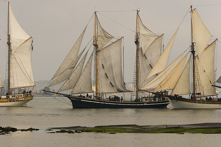 Purjelaivoja
Keywords: purjelaiva syksy