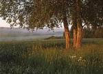1021-7-H�meenkyr�.jpg