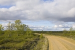 10226-1-Syysjärvi.jpg