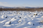 20041-S-Kilpisj�rvi.jpg