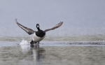 2013_05_14__Tukkasotka__287929.jpg