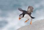 20140326-II--Lunni---281829.jpg