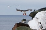 20140328-I---Lunni---285829.jpg
