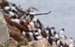 20140615--Lunni--2810529.jpg