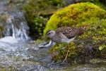 20140620--Liro--2812629.jpg