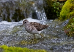 20140620--Liro--2812829.jpg