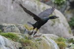 2018-06-22-Karimetso-2816929.jpg