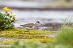 2019-06-04-Liro-2810029.jpg
