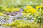 2019-06-04-Liro-289529.jpg