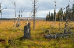 2019-09-18-Pomokaira-2818529.jpg