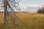 2019-09-18-Pomokaira-2820429.jpg