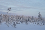 2019-12-24-Kuusamo-282629.jpg