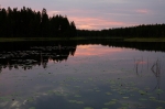 2022-124-Tiilikkajärvi.jpg