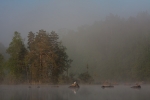 20349-Liesjärvi.jpg