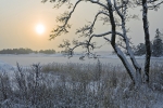 20608-V--Kopparnäs.jpg