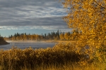 20779-Ounasjoki.jpg