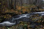20869--Pohja.jpg