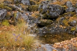 90012-Ruskapuro.jpg