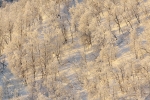 90121-Kilpisjärvi.jpg
